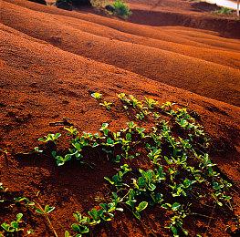 《刺客信条：影》公布后 大量玩家回流老游戏